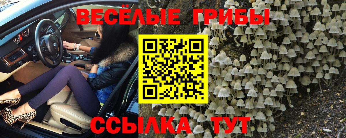 Шахты  Галлюциногенные грибы мицелий  Вход с VPN 