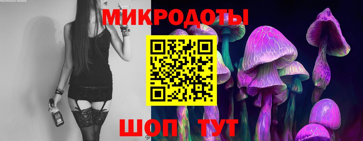 Псилоцибиновые грибы GOLDEN TEACHER Шахты
